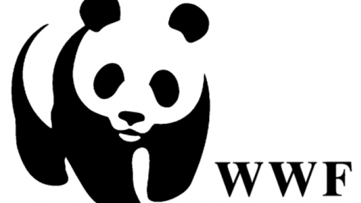 Φεστιβάλ επαναχρησιμοποίησης "Δες το αλλιώς" από τo WWF Ελλάς 